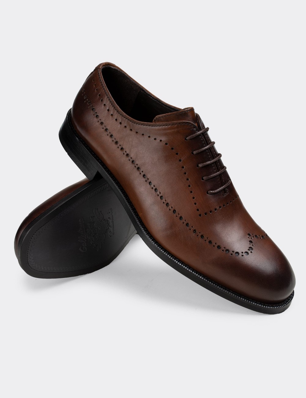 Tan  Leather Classic Shoes - 01615MTBAN01