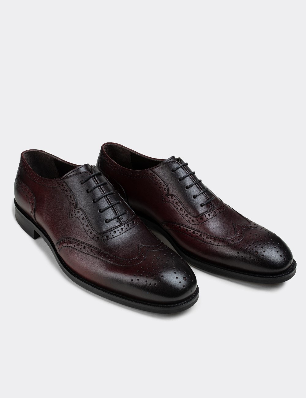 Burgundy  Leather Classic Shoes - 01676MBRDM01