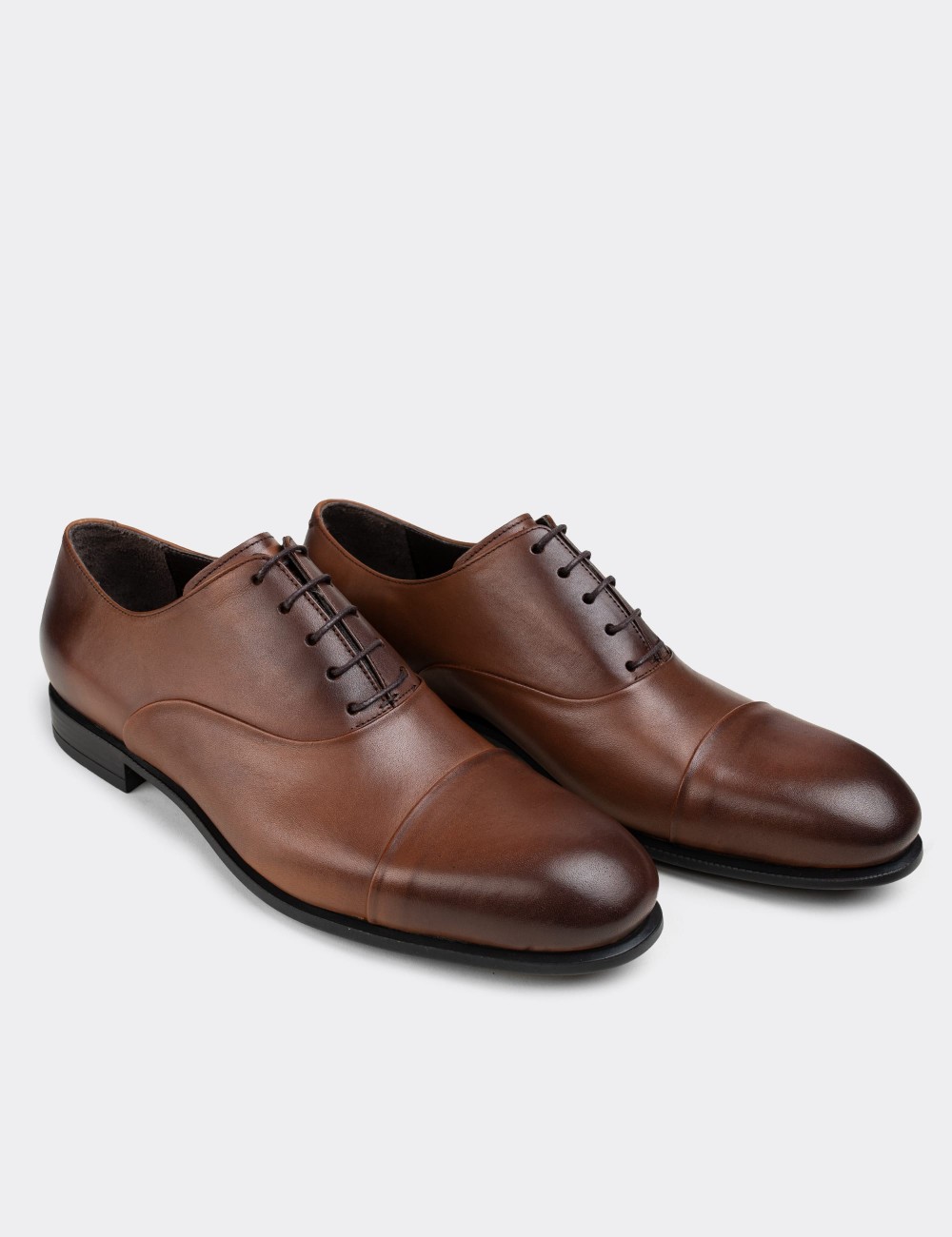 Tan  Leather Classic Shoes - 01026MTBAC05