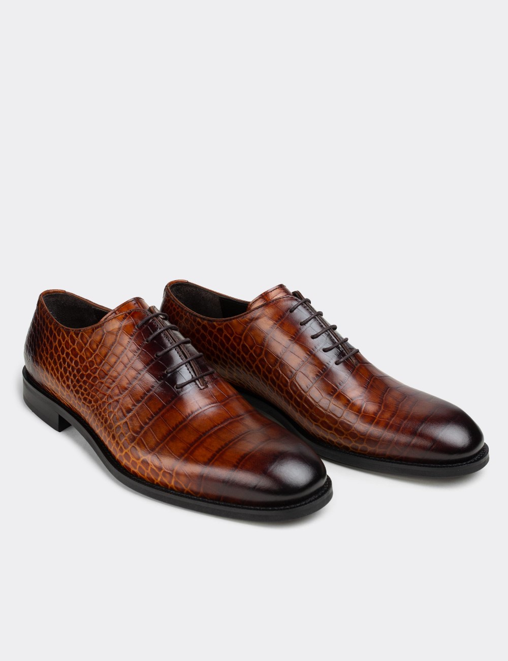 Tan  Leather Classic Shoes - 01830MTBAN02