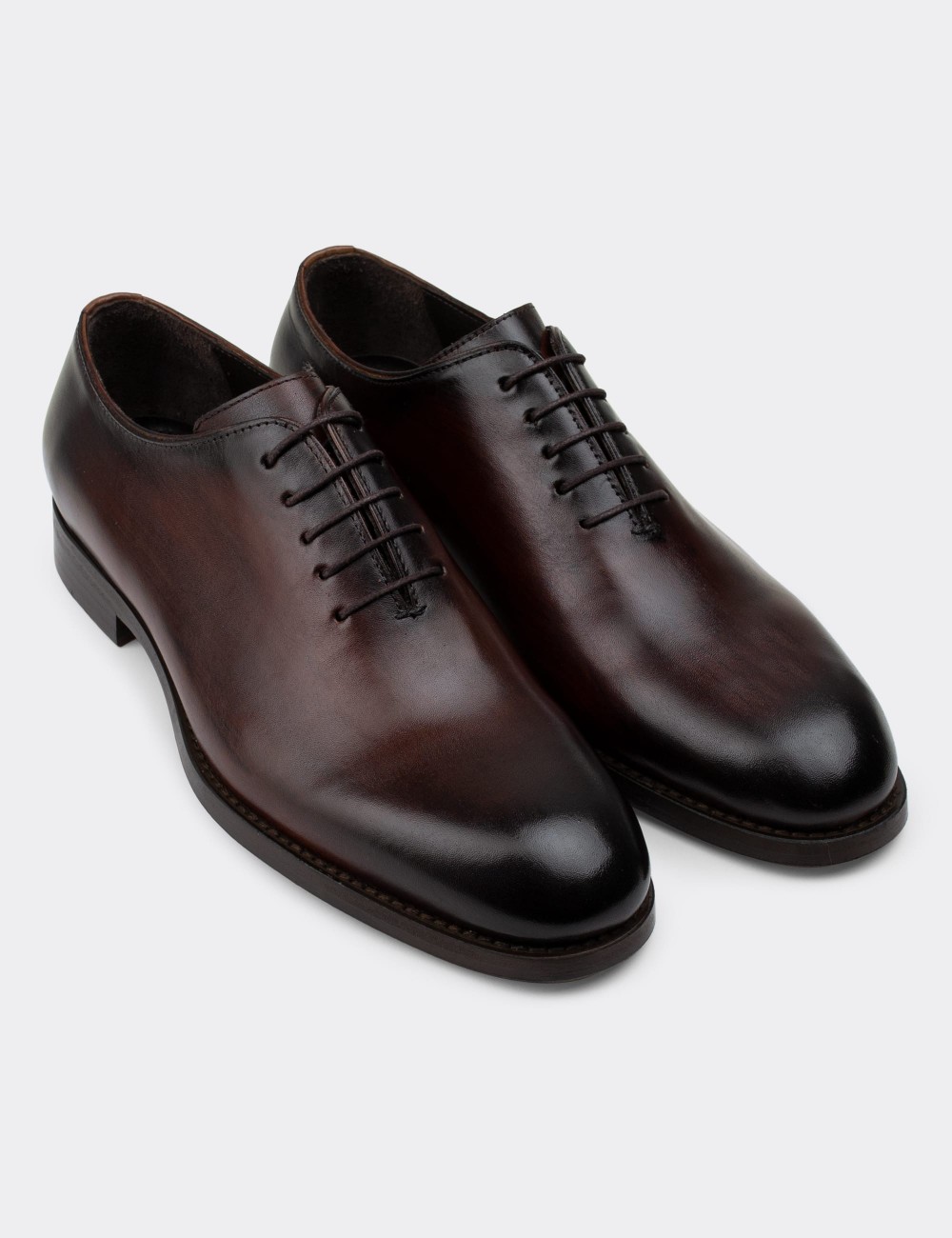 Tan  Leather Classic Shoes - 01830MTBAK01