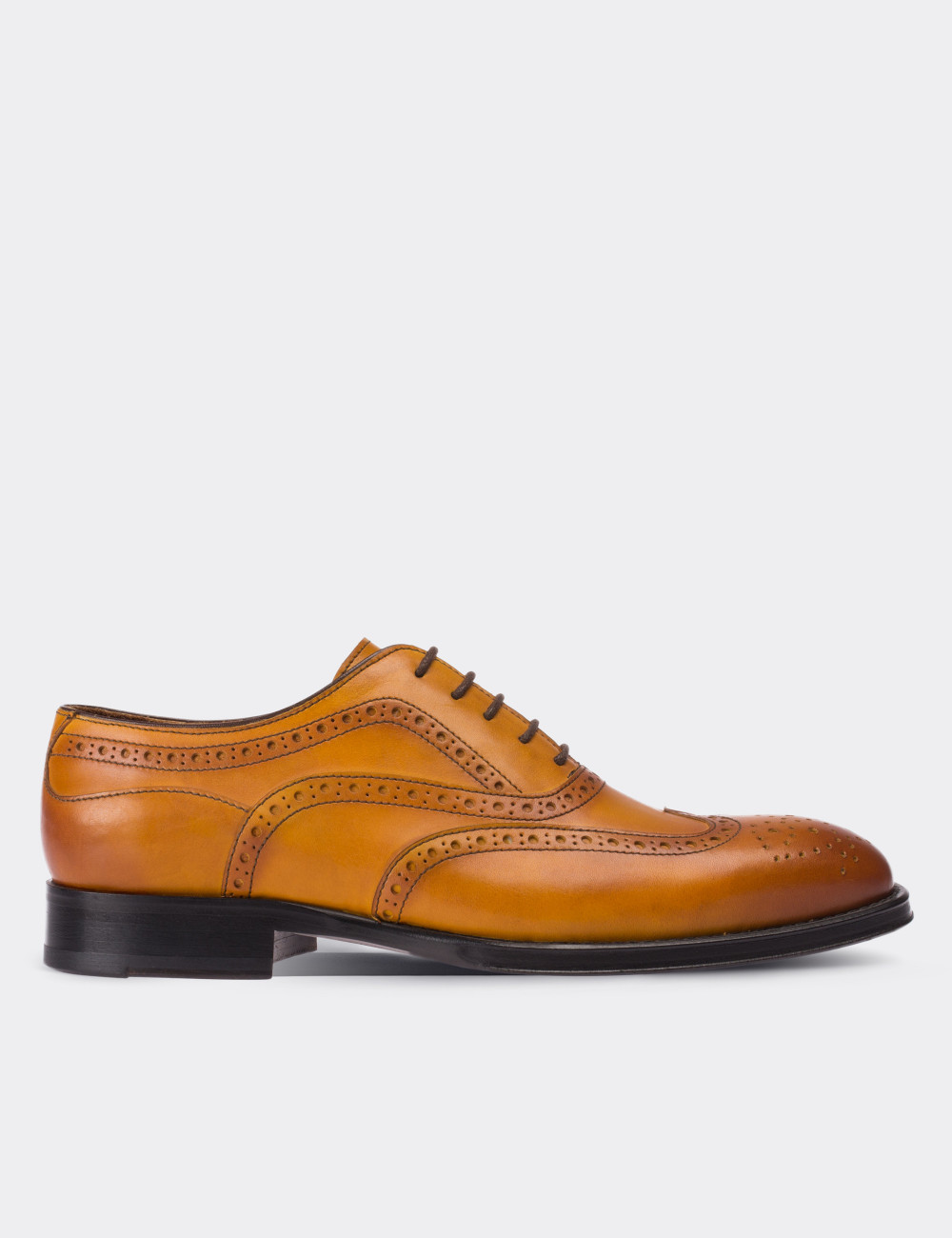 Tan  Leather Classic Shoes - 01511MTBAK01