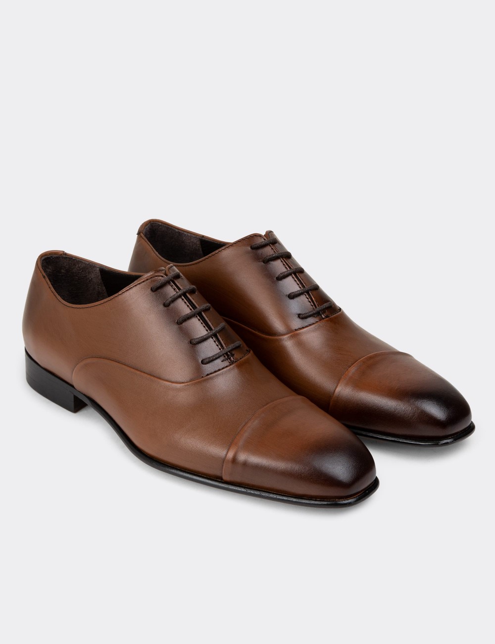 Tan Leather Classic Shoes - 01986MTBAK01