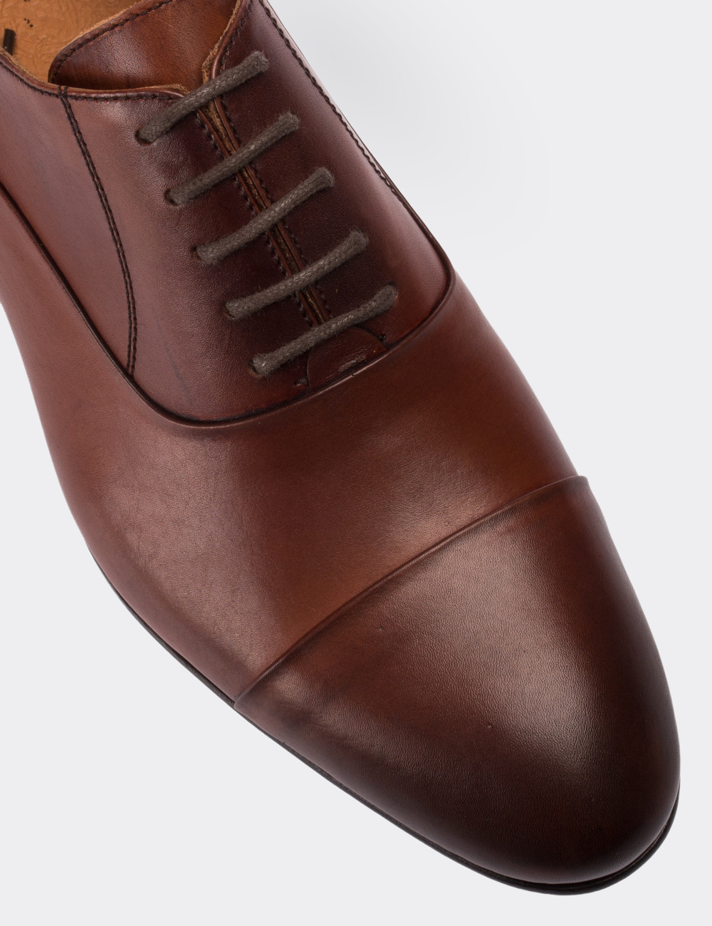 Tan  Leather Classic Shoes - 01590MTBAK01