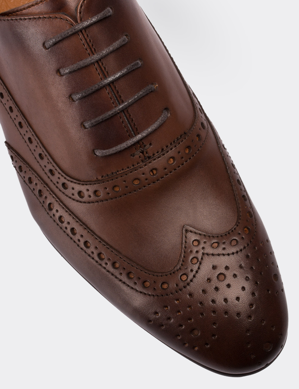 Brown  Leather Classic Shoes - 01785MKHVM03