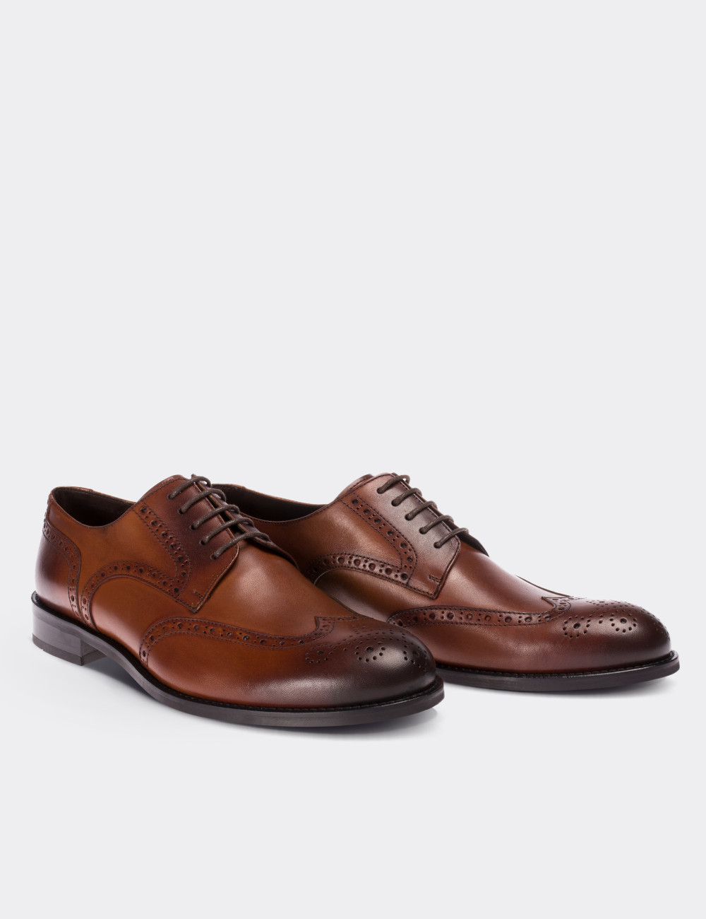 Tan  Leather Classic Shoes - 01696MTBAM01