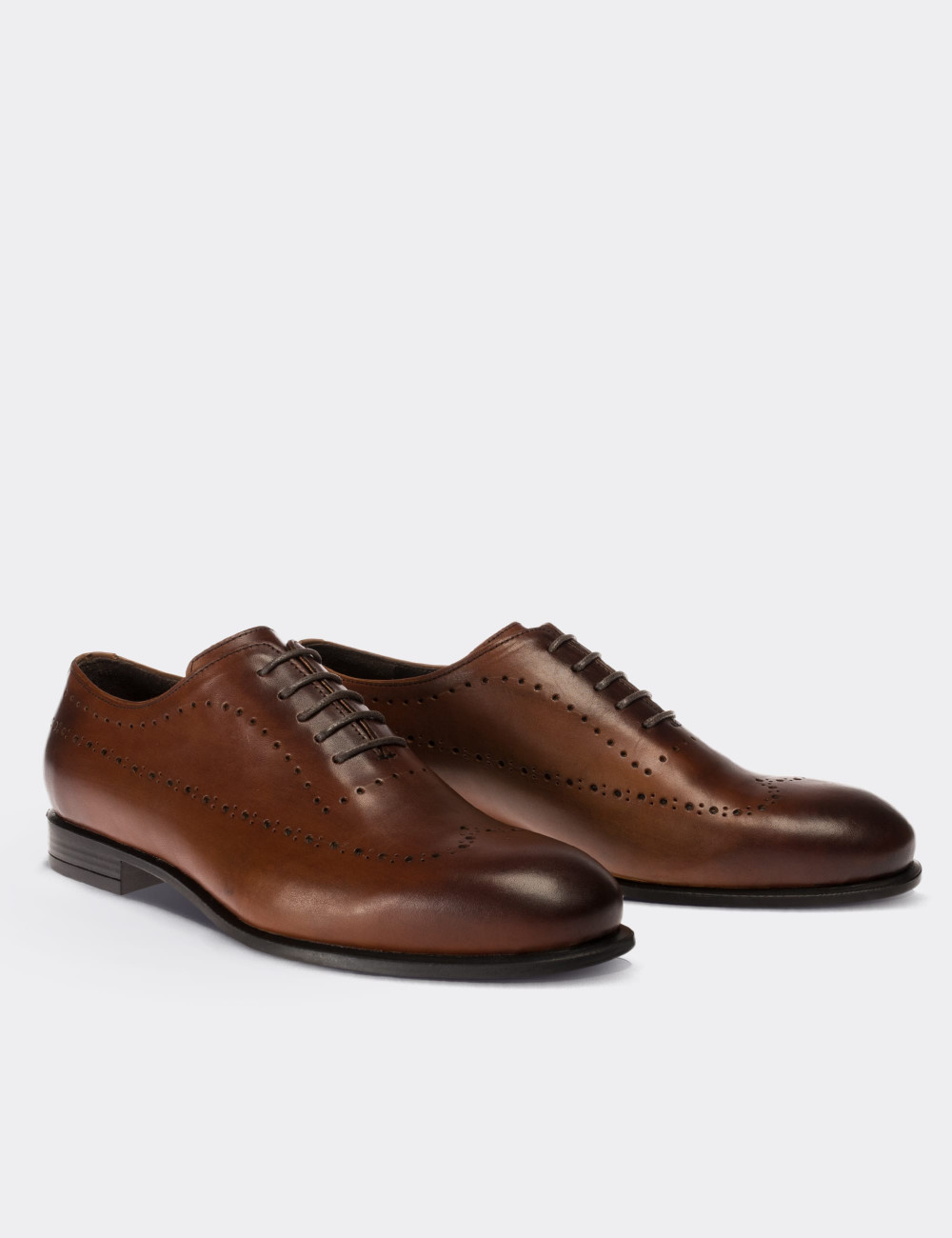Tan  Leather Classic Shoes - 01615MTBAC01